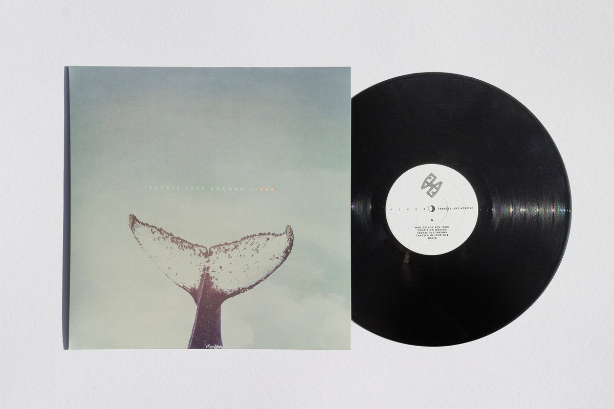 FLUKE 12" VINYL Limited Edition